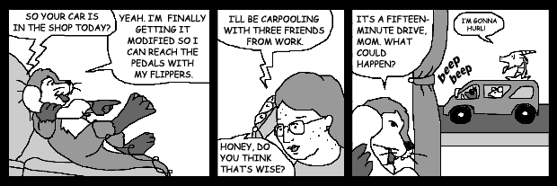 strip 44