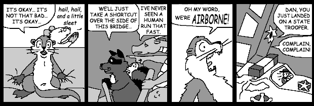 strip 48