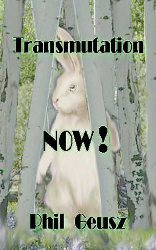 Click Here to Buy Transformation Now! by Phil Geusz